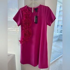Gracia - Pink Dress with Flower Appliqués